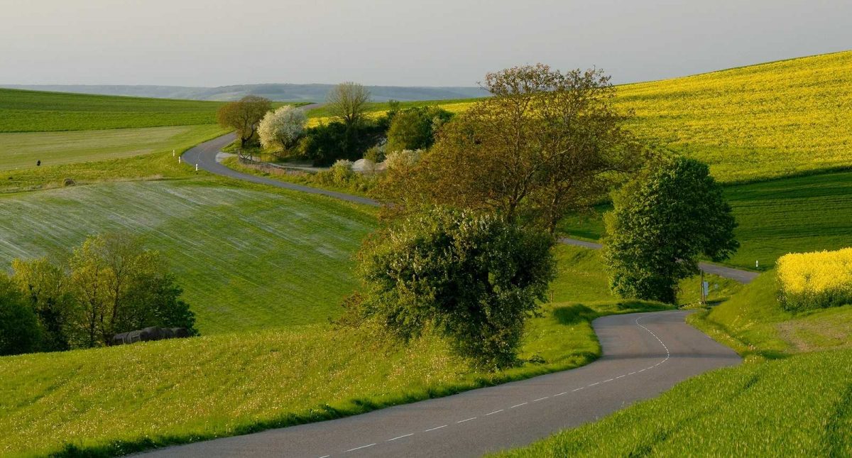 Quitter l'autoroute en prenant cette route menant à Rochefort en terre